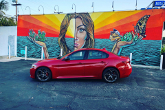 Entry # 18 - 2019 Giulia Ti Sport Carbon - Barry Armstrong