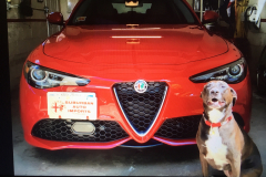 Entry # 41 - 2019 Giulia 2.0 TI Q4 (Factory Order) - Terrence Quilico