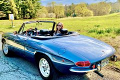 Entry # 64 - 1969 Alfa Romeo Spider Roundtail - Ira Hart