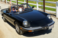 Entry # 130 - 1986 Spider Veloce - Helen Ostenberg