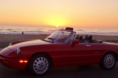Entry # 85 - 1993 Spider Veloce - Michael W. Young