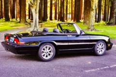 Entry # 57 - 1987 Spider Quadrifoglio - Joe Sweeney