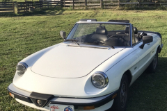 Entry # 171 - 1986 Spider Veloce - David Whelpley